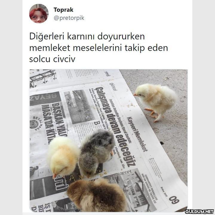 Toprak @pretorpik...