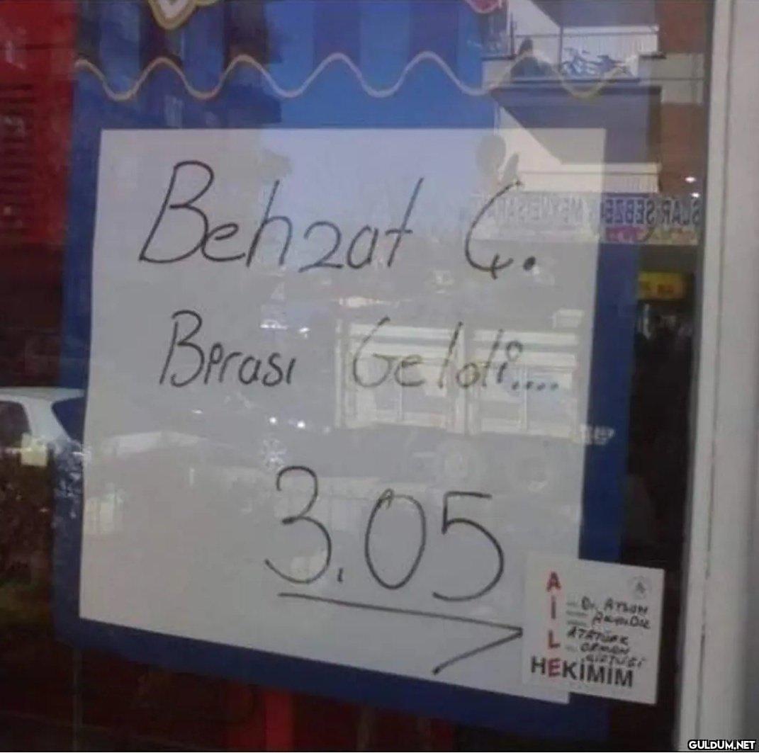 Behzot G. 207 Brosi Ge...
