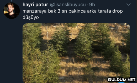 hayri potur...