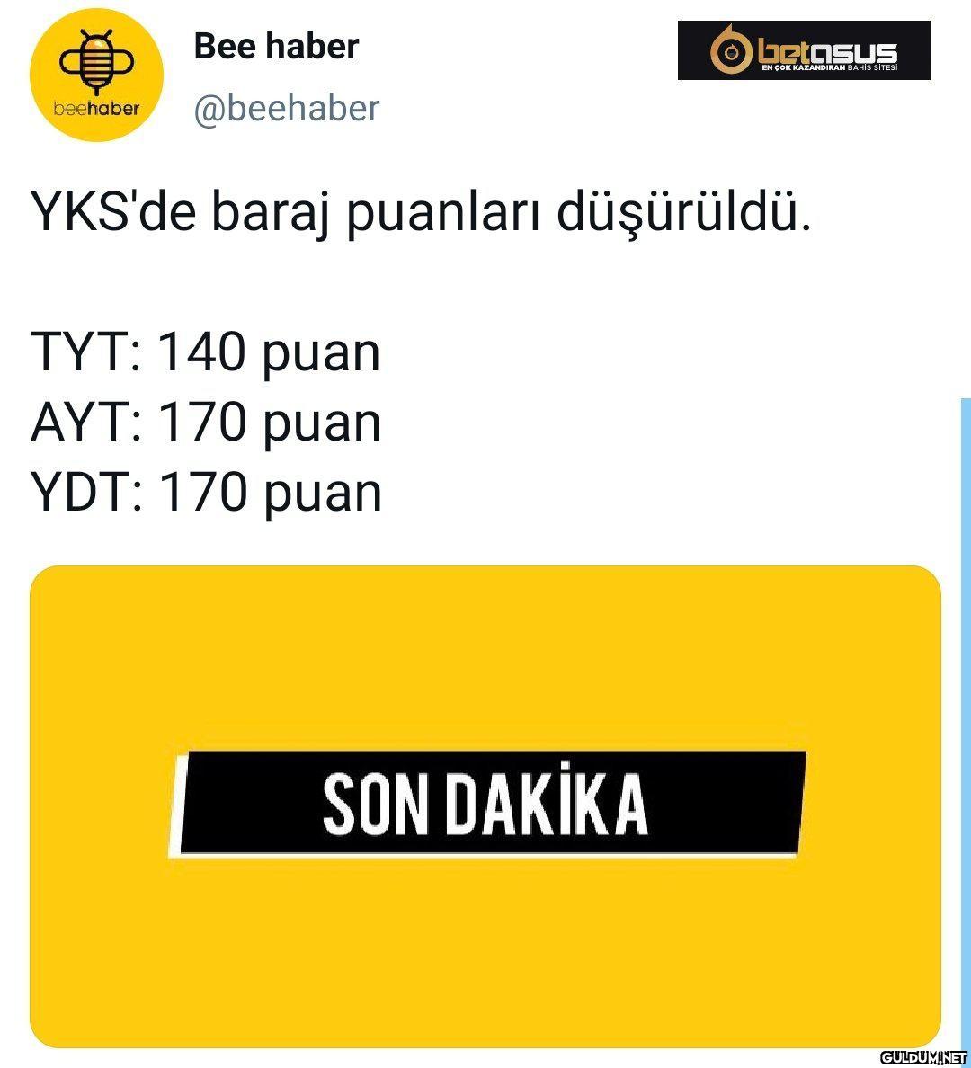Survivor ve tiktok fanları...