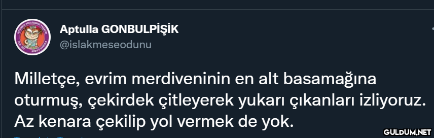 Aptulla GONBULPİŞİK...