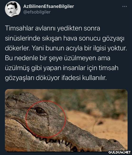AzBilinenEfsaneBilgiler...