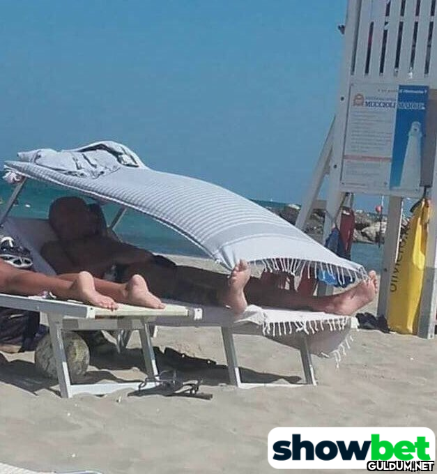IQ 200    showbet    Kaynak