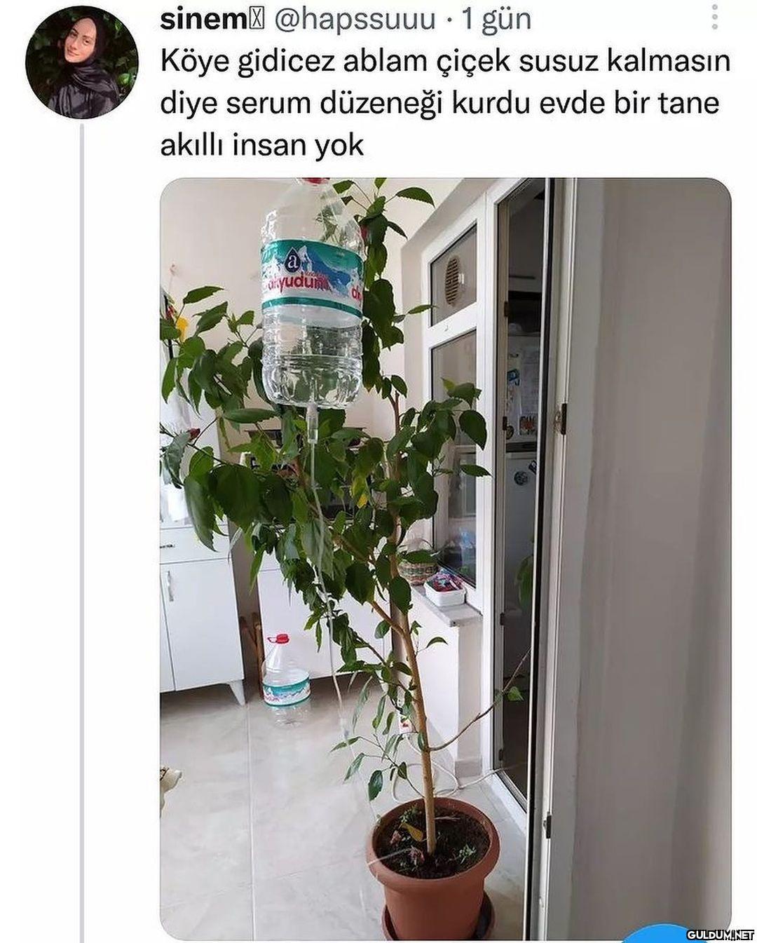 çiçekler kurumasın diye...