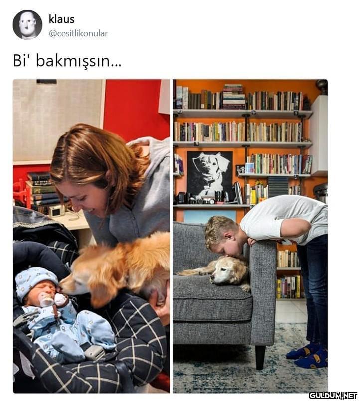 klaus @cesitlikonular Bi'...