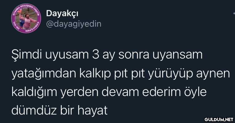 I YAŞAT Dayakçı...