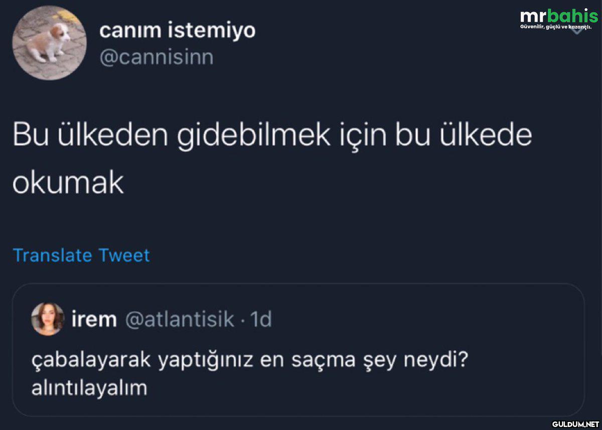 mrbahis canım istemiyo...