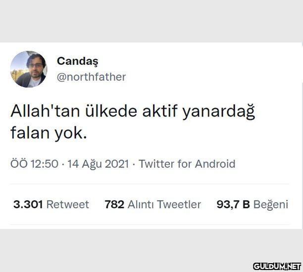 Candaş @northfather...