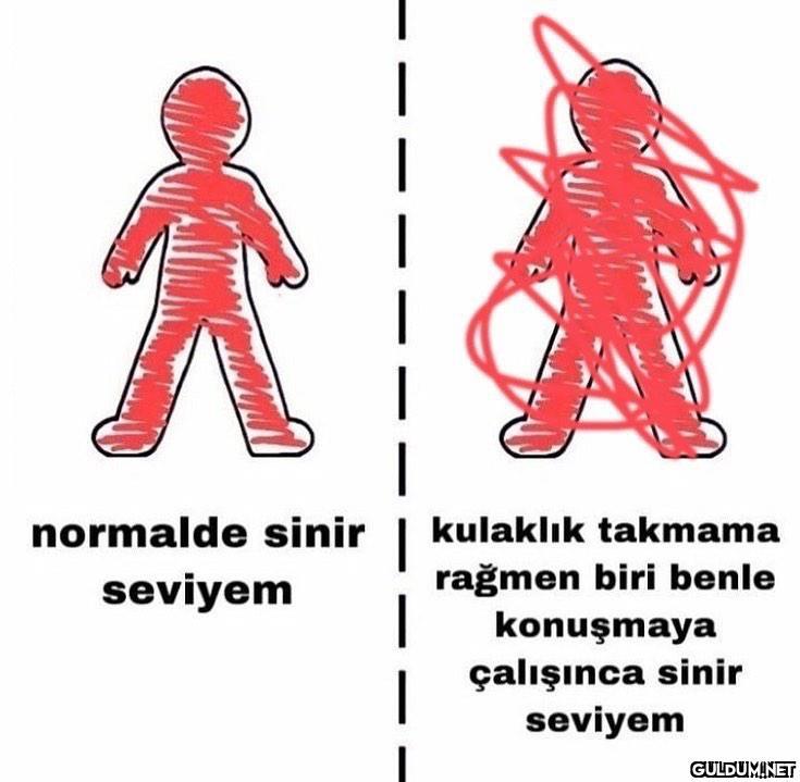 normalde sinir kulaklık...