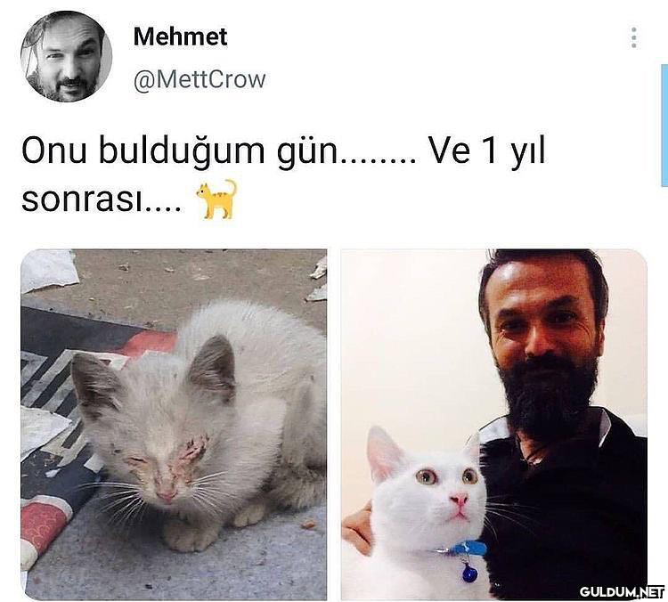 hastasıyız şöyle güzel...