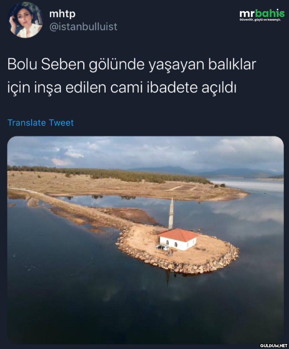 mrbahis mhtp...