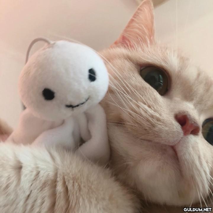 Günaydın 😊 [📸 橘猫沙梨Sally]  Kaynak