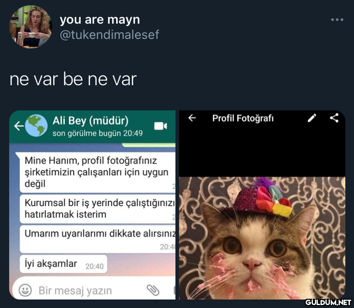 you are mayn...