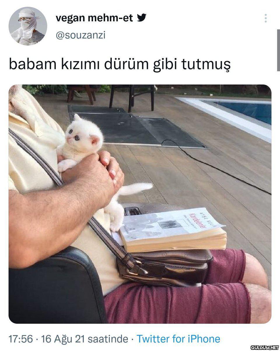 Ahahabahssb    vegan...
