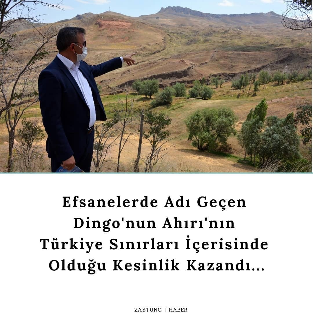 Yeni Zelandalı arkeolog...