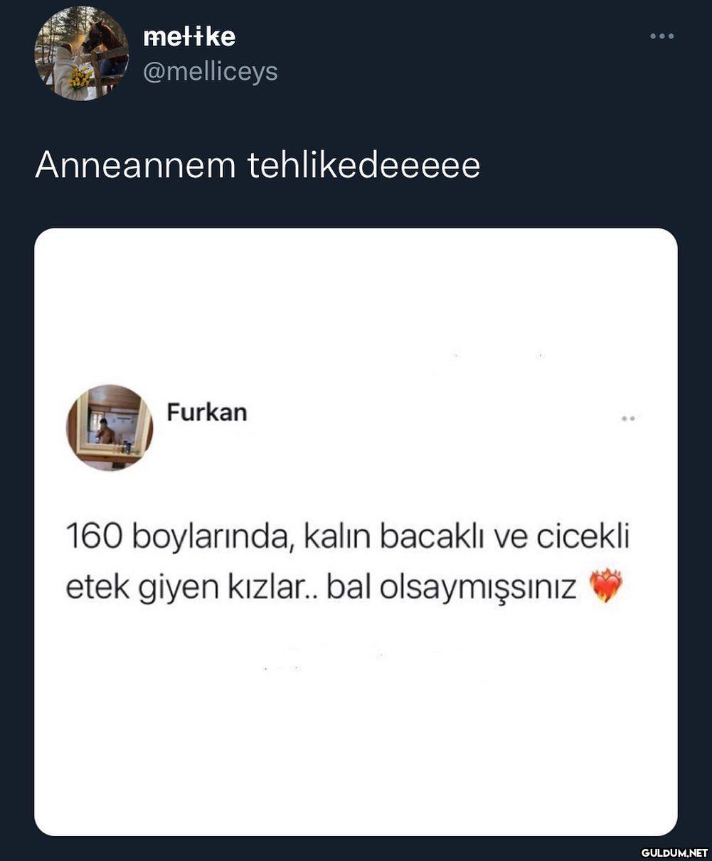 babaannem bile twitterda...