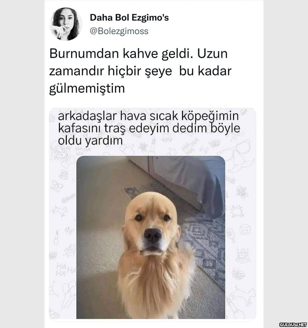 Daha Bol Ezgimo's...