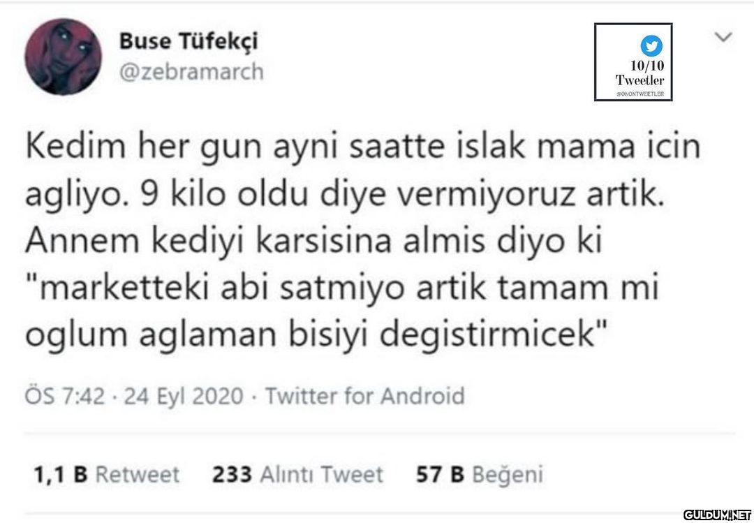 Buse Tüfekçi @zebramarch...