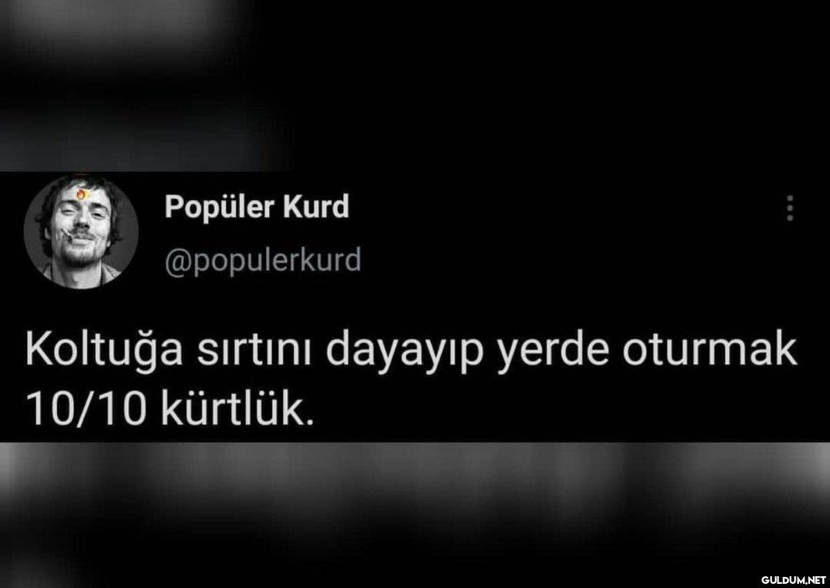 Popüler Kurd @populerkurd...