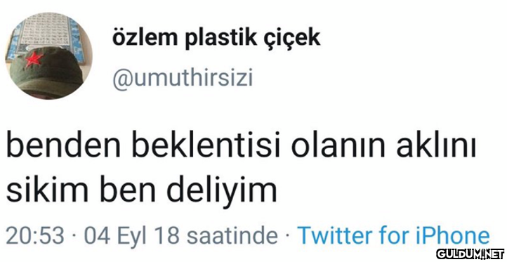 özlem plastik çiçek...
