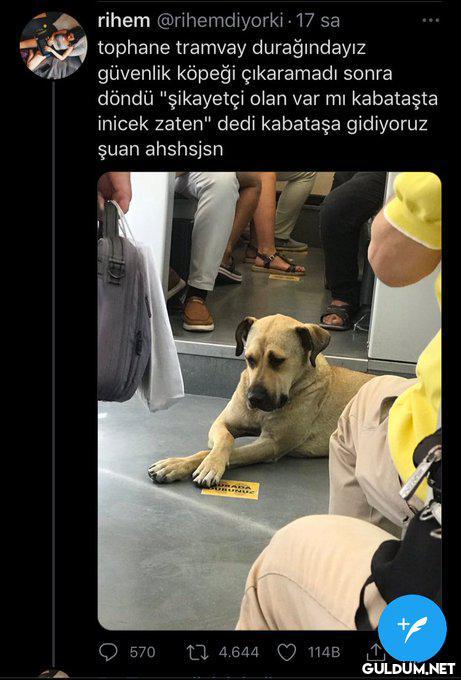 Teşekkürler İmamoğlu   ...