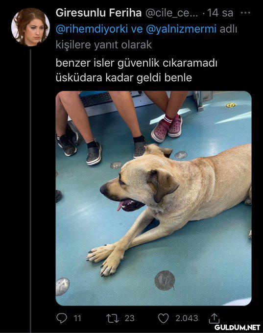 Teşekkürler İmamoğlu   ...