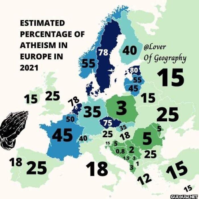 17. Estimate percentage...