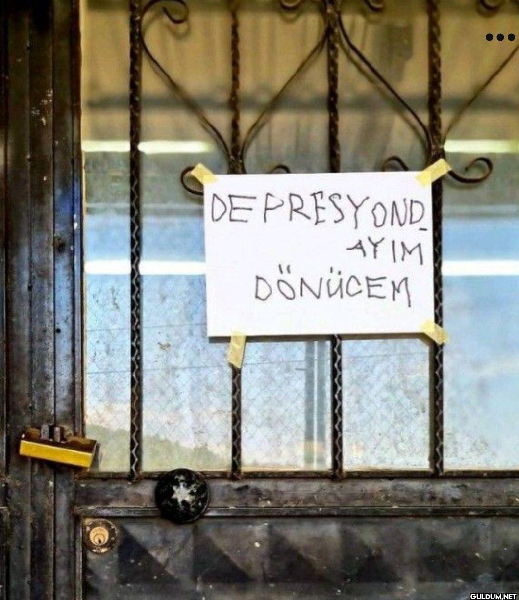 DEPRESYOND AYIM DÖNÜCEM
