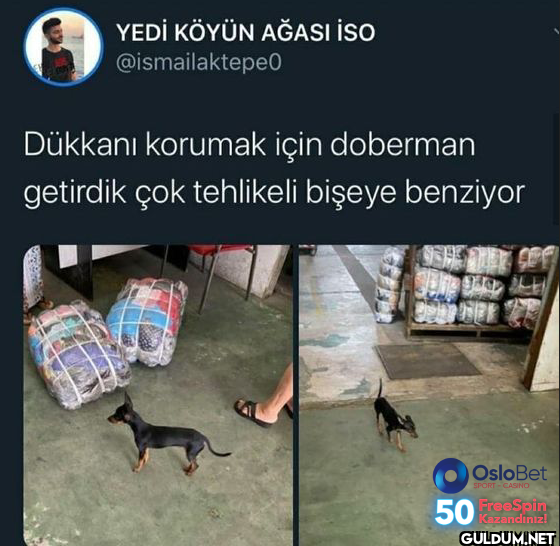 Dükkanı korumak için...