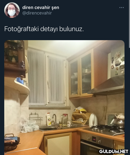 diren cevahir şen...