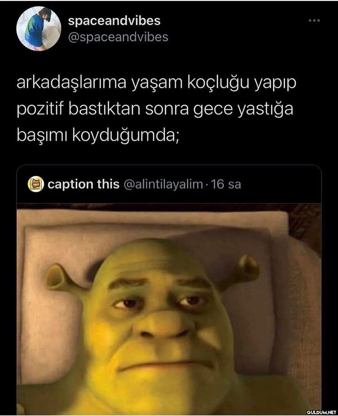 spaceandvibes...