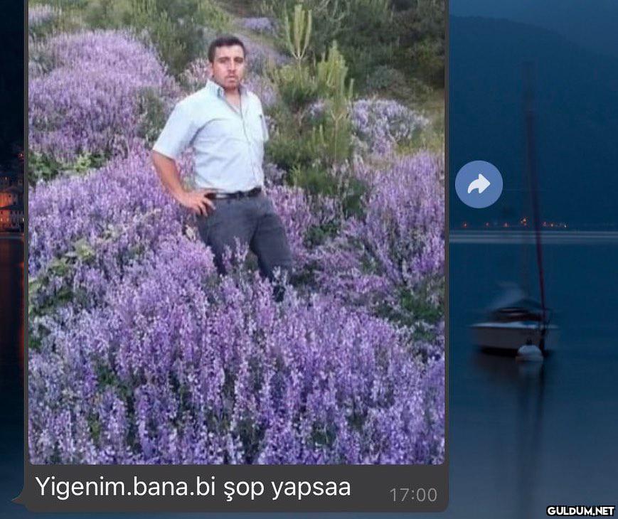 Sana da yaranılmıyo dayı ...