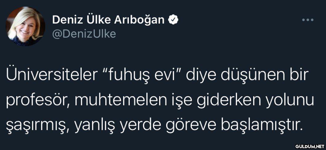Deniz Ülke Arıboğan ......