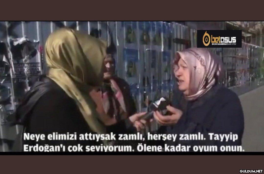Harika kafa    Letasus IN...