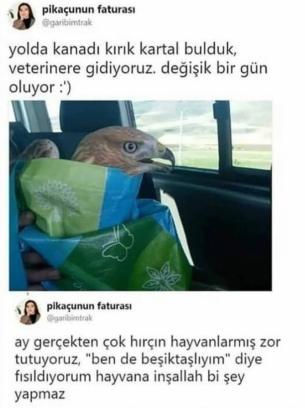 pikaçunun faturası...