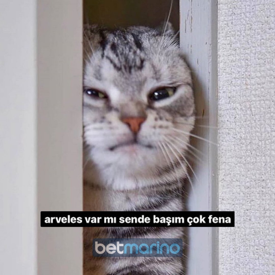 Akşamdan kalma olanlar...