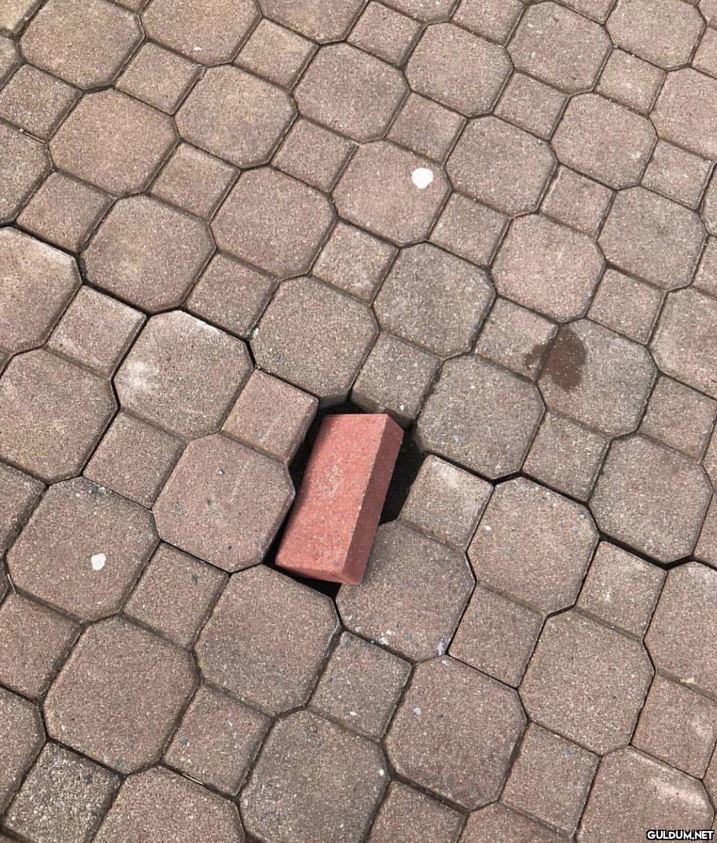 Yerime başkasını koymuşsun...