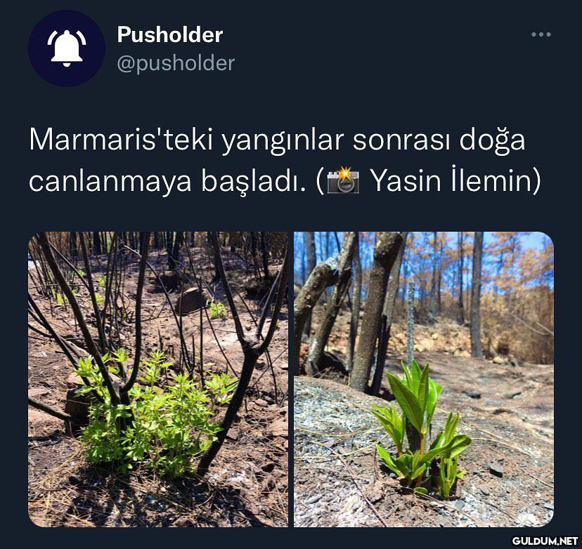 son zamanlarda aldığım en...