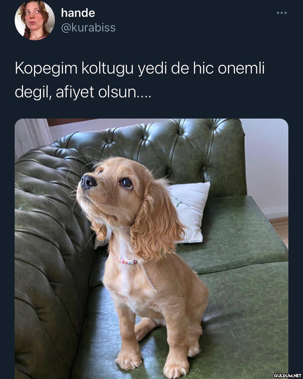 şu tipe bak beni bile...