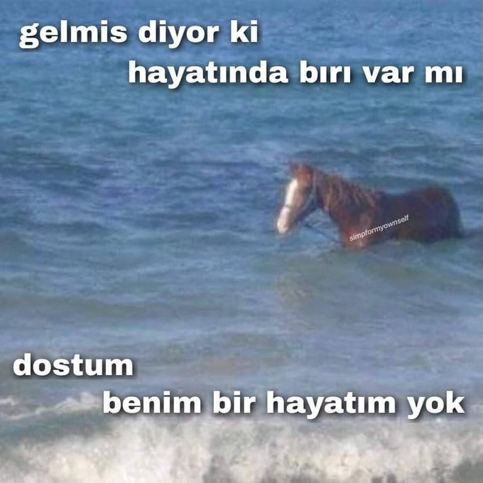 gelmis diyor ki hayatında...