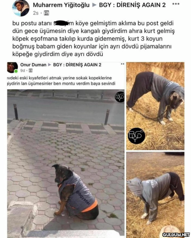 Muharrem Yiğitoğlu BGY :...