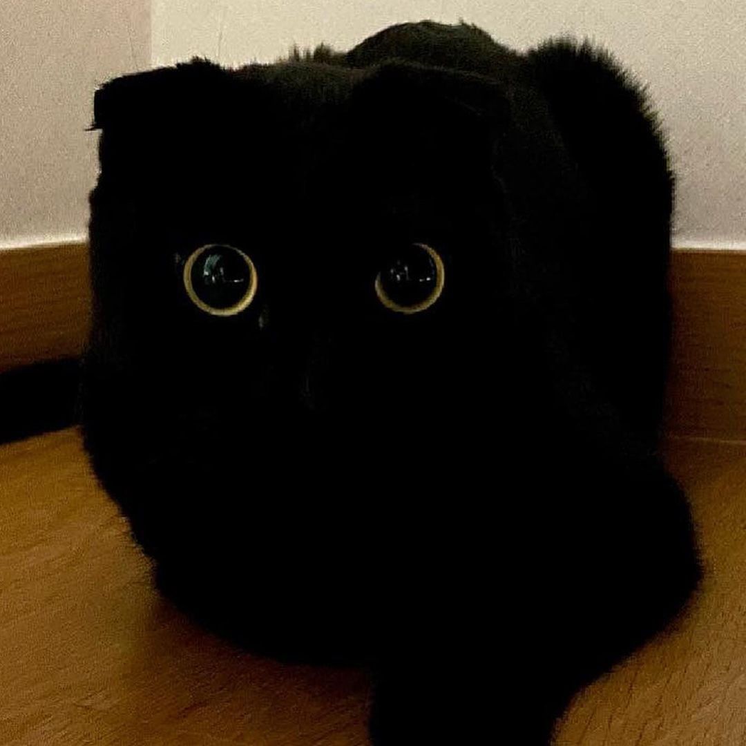 If you gaze long into an...