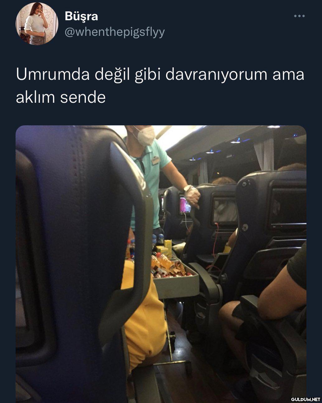 Büşra @whenthepigsflyy...