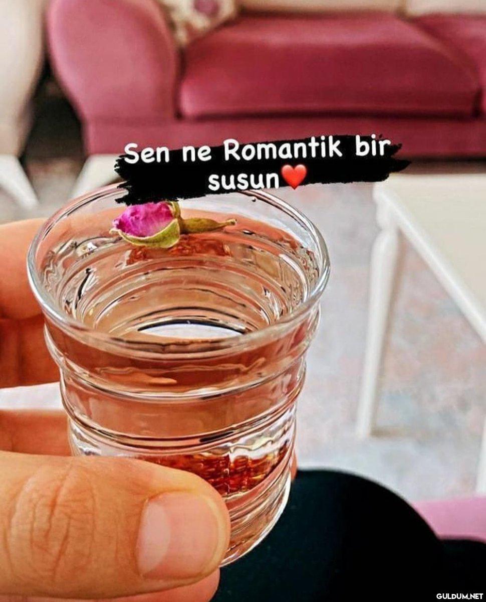 Doktorum: romantik su...