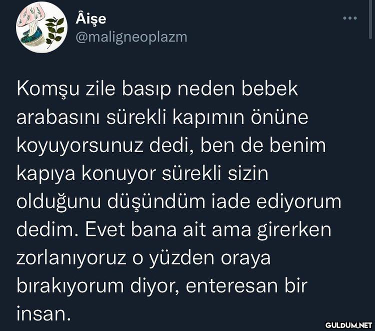 Âişe @maligneoplazm Komşu...