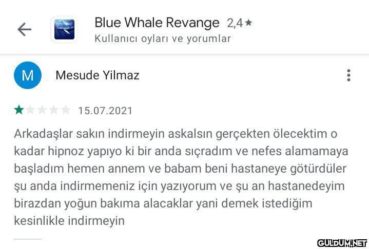 Blue Whale Revange 2,4*...
