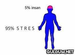 5% insan 95% STRES    Kaynak