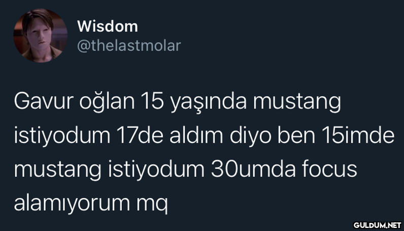 Wisdom @thelastmolar Gavur...