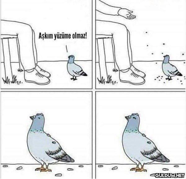 https://t.co/3HKdU7JsJP...