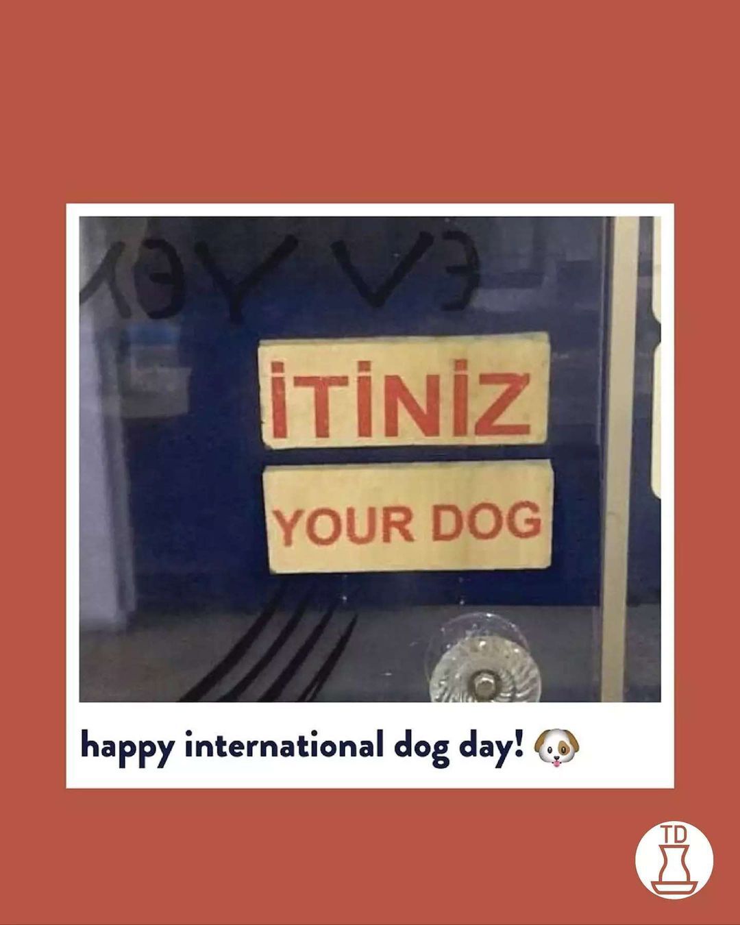 Happy International Dog...